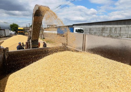 Anuntul americanilor: Romania ramane principala ruta pentru exporturile ucrainene de cereale