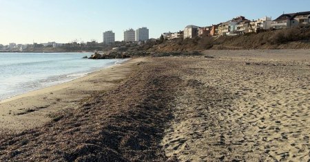Plaja noua pe litoralul Marii Negre. Aici facea bai de soare Gheorghe <span style='background:#EDF514'>GHEORGHIU</span>-Dej, inainte ca tarmul sa fie ros de Marea Neagra