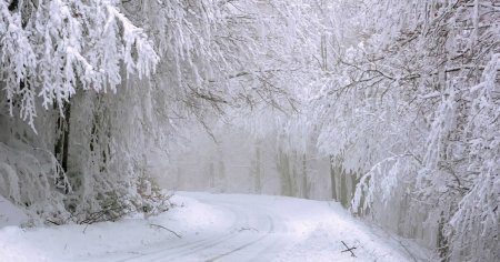 Un val de ninsori pune stapanire pe Romania. Zonele in care se anunta viscol