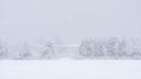 Val de ninsori peste Romania! Meteorolog: 