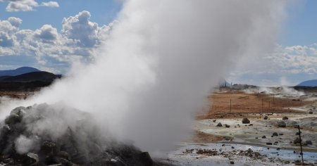 Operatiune de salvare a sute de oi blocate de eruptia vulcanului din orasul Grindavik din Islanda