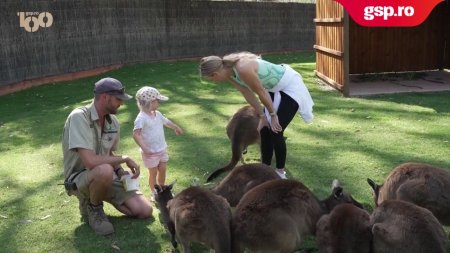 Viseaza ca castige Australian Open » Caroline Wozniacki a hranit cangurii la Gradina Zoologica de la Melbourne