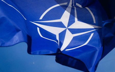 Oficial militar: Avem nevoie de o transformare a NATO pentru a fi pregatita sa poarte un razboi