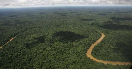 Ce este ADE, elementul vital supranumit aurul negru al populatiilor de acum 2.000 de ani din inima Amazonului