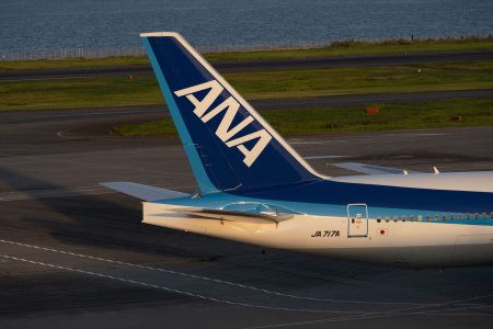 Un pasager american a muscat o insotitoare de zbor in timpul unei curse Tokyo-Seatle. Avionul a fost nevoit sa se intoarca la Tokyo