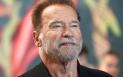Arnold Schwarzenegger a fost retinut pe aeroportul din Munchen. Ce au descoperit <span style='background:#EDF514'>VAMESII</span> germani