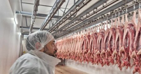 Alerta privind carnea de porc din Romania. Ce spun mari fermieri ai tarii FOTO VIDEO