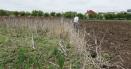 Beneficiile pentru fermierii moldoveni au fost anulate in Transnistria