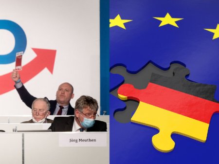 Vicecancelar german: AfD intentioneaza sa transforme Germania intr-un stat autoritar similar cu Rusia