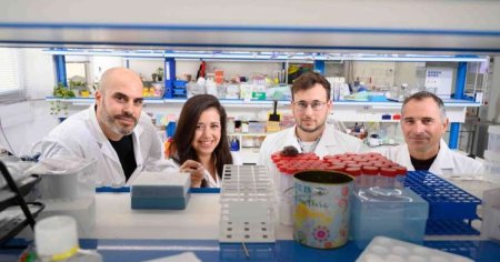 Un nou tratament impotriva cancerului bazat pe un anticorp modificat, dezvoltat de cercetatori israelieni