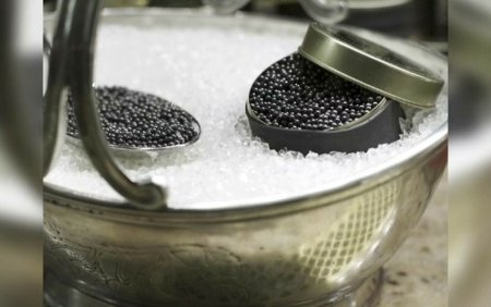 Caviarul romanesc, la mare cautare in Statele Unite, <span style='background:#EDF514'>SINGAPORE</span> sau Dubai. Cat costa un kilogram