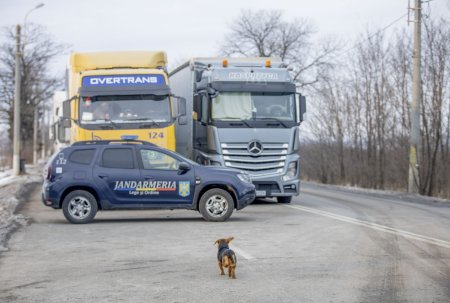 Traficul in <span style='background:#EDF514'>VAMA SIRET</span> a fost reluat. Camioanele din Ucraina asteapta pana la doua ore la granita