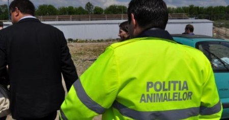 Bilantul politiei specializate in protectia animalelor pe anul 2023. Suma la care ajung amenzile