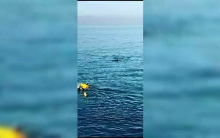 La un pas de tragedie. Un barbat beat a fost salvat de un salvamar dupa ce s-a aruncat in mare