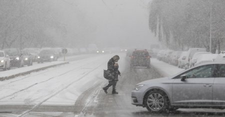 Prima ninsoare din acest an a facut ravagii in Capitala. Au cazut 59 de copaci, iar 54 de masini au fost avariate
