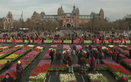 Cum au sarbatorit olandezii <span style='background:#EDF514'>ZIUA NATIONALA</span> a lalelelor