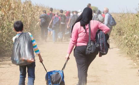 Cati migranti a vrut sa retrimita Austria in Romania si cati a acceptat Bucurestiul in 2023