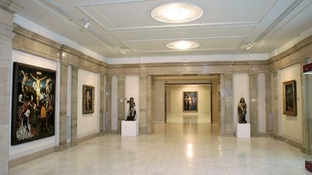 Punct de vedere al Muzeului National de Arta al Romaniei