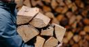 Beneficiarii cardurilor de energie vor putea cumpara lemne de foc direct de la Romsilva