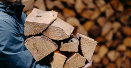 Beneficiarii cardurilor de energie vor putea cumpara lemne de foc direct de la <span style='background:#EDF514'>ROMS</span>ilva