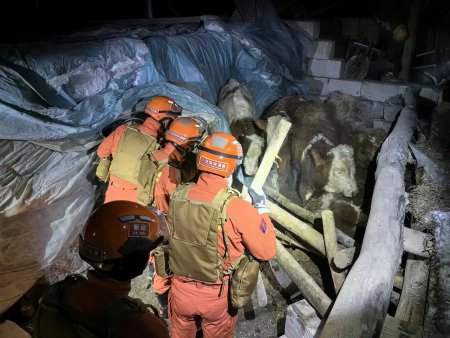 <span style='background:#EDF514'>URMARILE</span> cutremurului de 7 grade din China. Cati oameni si-au pierdut viata