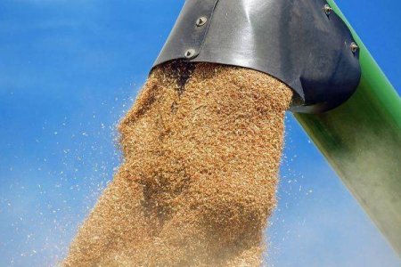 Reuters: 'UE va permite masuri mai extinse pentru a controla importurile de cereale din Ucraina'