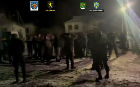 Descoperire socanta in Romania dupa ce Politia a oprit un campionat ilegal de lupte de caini in Republica Moldova