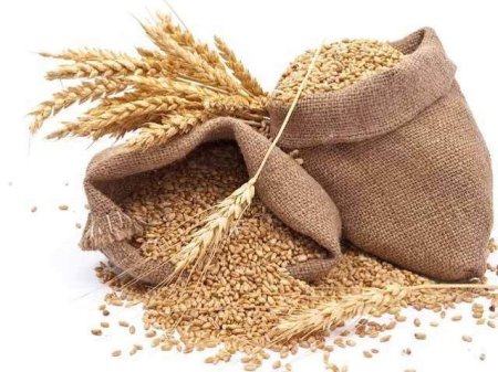 Traderul de ingrasaminte si cereale Belor Romania a finalizat anul 2023 cu afaceri de 54 mil. euro