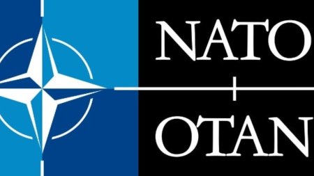 Parlamentul Turciei a votat in favoarea aderarii Suediei la NATO