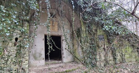 Blestemul ultimilor grofi de pe Valea Muresului. Ce soarta au avut cripta si mosia <span style='background:#EDF514'>BOGATU</span>lui Lazar VIDEO