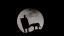 Luna <span style='background:#EDF514'>LUPUL</span>ui, 25 ianuarie 2024. Influenta asupra fiecarei zodii