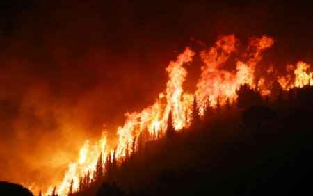 Columbia va declara stare de dezastru natural din cauza incendiilor. Opt incedii pe zi au fost stinse de pompieri