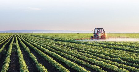 Cererile de acordare a grantului din domeniul agricol vegetal pot fi depuse la APIA pana pe 8 martie