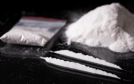 Trafic de cocaina la cabinetul ministrului belgian al Invatamantului. Au fost gasite 50 de pliculete cu cocaina
