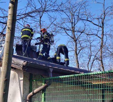 Incendiu la Gradina Zoologica Ramnicu Valcea, la pavilionul unde sunt maimutele. Animalele au fost evacuate