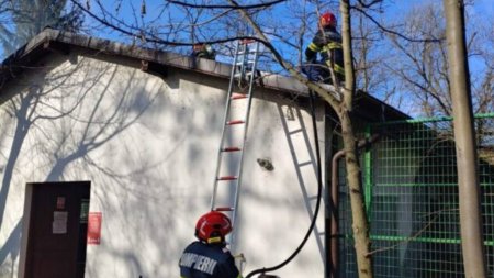 Incendiu la <span style='background:#EDF514'>GRADINA ZOOLOGICA</span> din Ramnicu Valcea. Maimute evacuate (VIDEO)