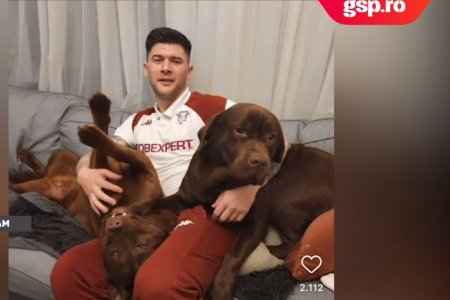 Dupa ce a invins-o pe Dinamo, Cristian Sapunaru s-a imprietenit cu cainii » Imagini incredibile postate de capitanul Rapidului