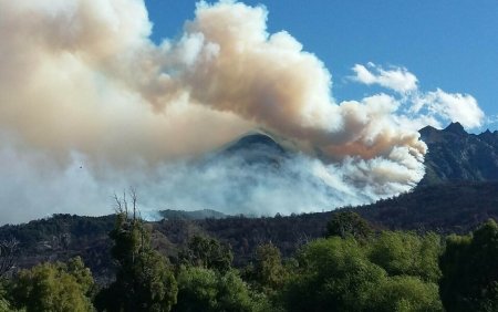 Este scapat de sub control. Incendiu devastator intr-un parc natural din Argentina, inclus de UNESCO in patrimoniul mondial