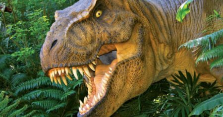 Oamenii de stiinta au descoperit o noua specie de dinozaur, iar aceasta ar putea rescrie istoria evolutiei lui T-Rex