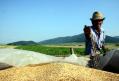 Producatorii agricoli pot solicita suspendarea contractelor de credit si de leasing pana la redresarea lor economica