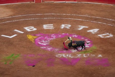 Proteste de amploare dupa organizarea unei lupte cu tauri in Mexico City
