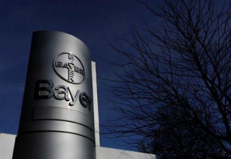 Reuters: Actiunile Bayer au scazut cu pana la 5,7%