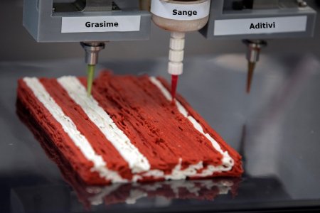 Alimentele viitorului: „carne” printata 3D, „unt” din  musca sau „chiftele” din insecte