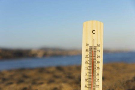 The WMO confirms the European temperature record