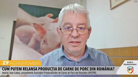 ZF Agropower. Ioan Ladosi, presedinte, Asociatia Producatorilor de Carne de Porc: Devenim ca tara vulnerabili din perspectiva posibilitatii asigurarii cererii interne de carne de porc, in conditiile in care cererea romanilor nu a scazut