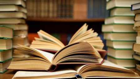Fundatia Dan Voiculescu pentru Dezvoltarea Romaniei doteaza 10 biblioteci scolare cu fond de carte si mobilier
