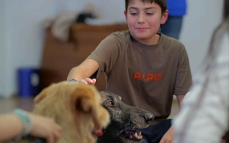 Elevii din Ilfov vor invata la scoala cum sa ingrijeasca animalele, dar si cum sa reactioneze in fata celor de pe strada