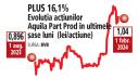 Bursa. Swiss Capital vede actiunile Aquila Part Prod la 1,33 de lei, adica un randament potential de 30%. Analistii au oferit o recomandare de 