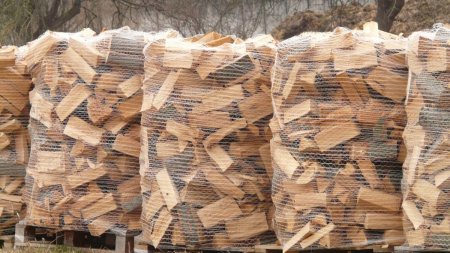 Industria lemnului incepe protestele de strada din 8 februarie
