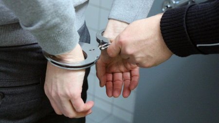 Barbati condamnati in tara pentru trercere frauduloasa a frontierei si talharie, adusi in Romania